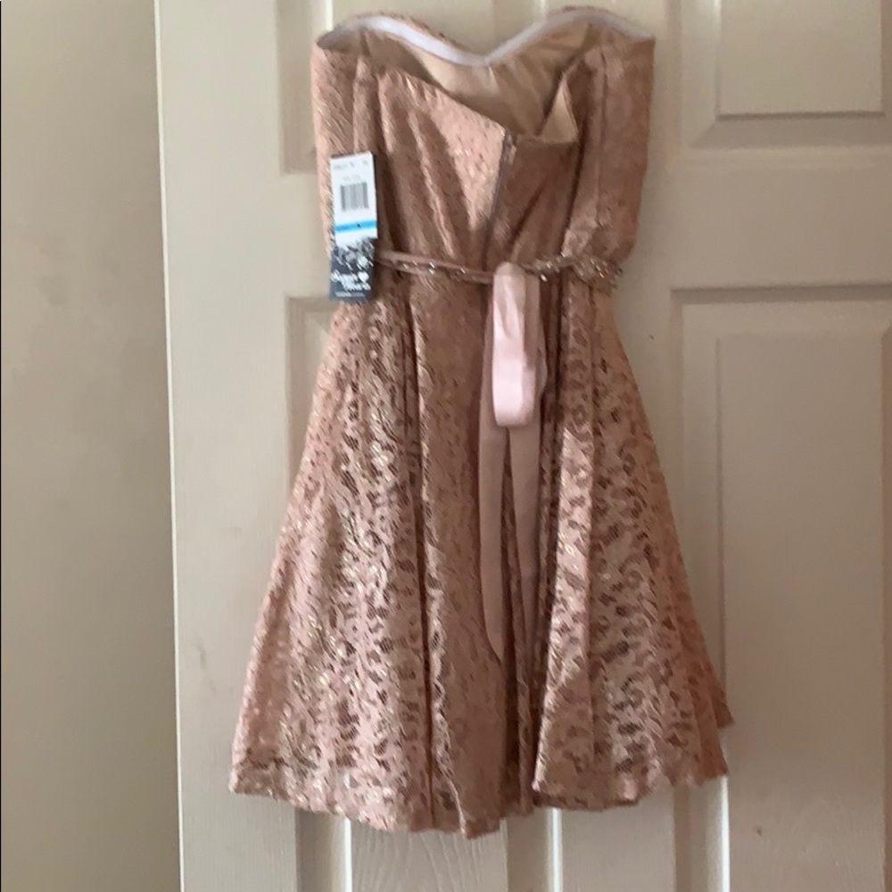 Champagne/Blush color dress